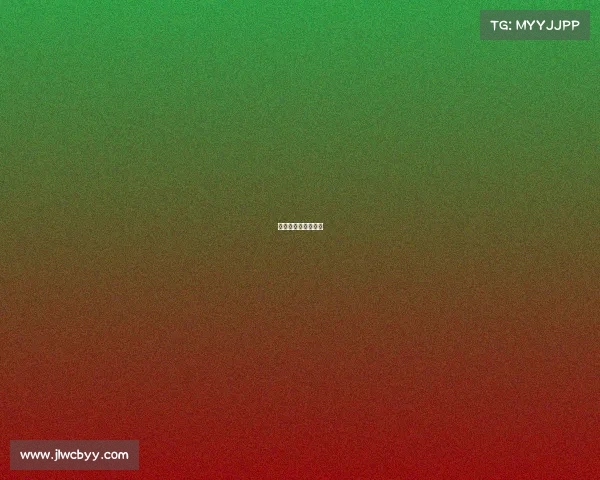 公园排球赛事有哪些